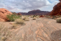 Mojave Desert Valley of Fire Adventure