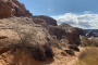 Mojave Desert Valley of Fire Adventure