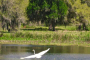 Houston Nature and Wildlife Exploration Tour