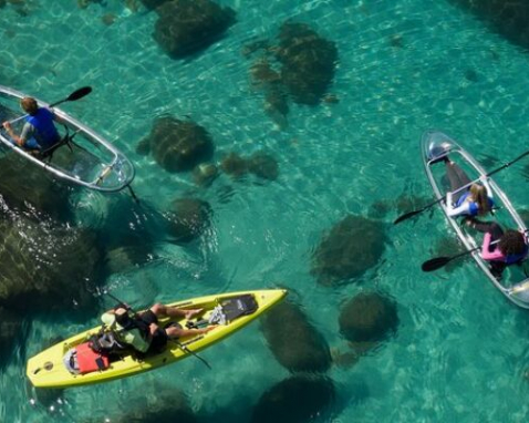 Lake Tahoe Clear Kayak Adventure Tour