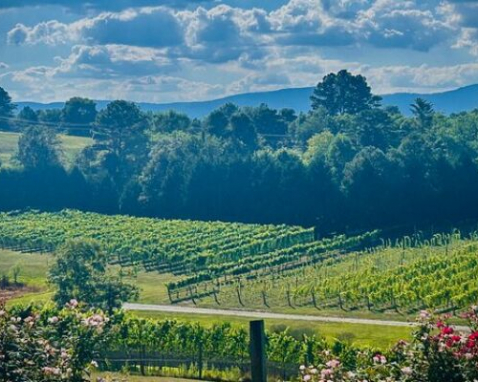 Asheville North Carolina Winery Tour Experience