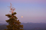 Golden Rocky Mountains Sunset Hiking Experience