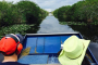 Miami Everglades River of Grass Airboat Tour