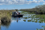 Miami Everglades River of Grass Airboat Tour