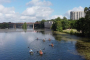 Austin Clear Kayak Lake Adventure Tour