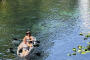 Dunnellon Florida Springs Kayaking Adventure