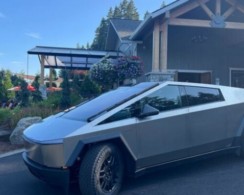 Ridgefield Luxury Wine Tour in Tesla