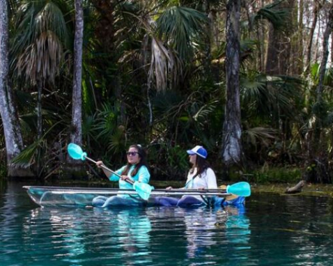 Silver Springs Wildlife Kayaking Adventure