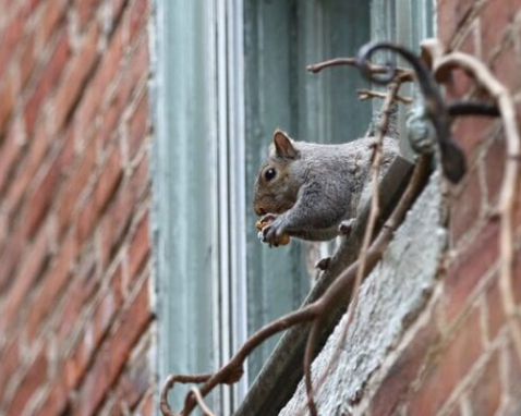 Philadelphia Offbeat History and Landmarks Tour