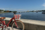 West Palm Beach Electric Bike Tour