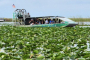 Everglades Airboat Ride and Wildlife Adventure