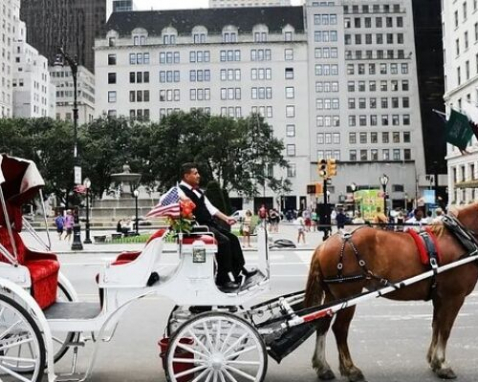 Central Park Horse Carriage Guided Adventure