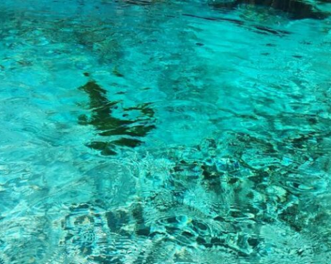 Fort White Scenic Clear Kayaking Adventure