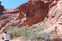 Mojave Desert Valley of Fire Adventure