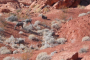 Mojave Desert Valley of Fire Adventure