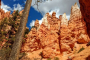 Bryce Canyon Guided Hiking Adventure