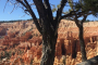 Bryce Canyon E-Bike Adventure Tour