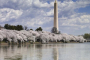 Arlington National Cemetery Guided Walking Tour