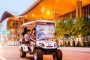 Nashville Unique Sightseeing Golf Cart Tour