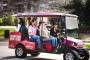 Nashville Unique Sightseeing Golf Cart Tour