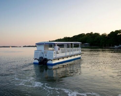 Hilton Head Island Dolphin Spotting Tour