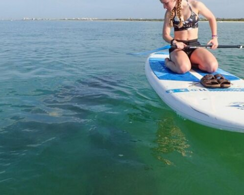 Fort Myers Beach Clear Kayaking Eco Tour