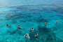 Key West Rise and Reef Snorkel Adventure