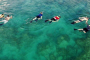 Key West Rise and Reef Snorkel Adventure