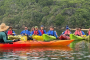 Tomales Bay Sea Kayaking Wildlife Adventure