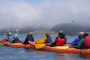 Tomales Bay Sea Kayaking Wildlife Adventure