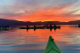 Tomales Bay Sea Kayaking Wildlife Adventure