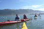 Tomales Bay Sea Kayaking Wildlife Adventure