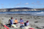 Tomales Bay Sea Kayaking Wildlife Adventure