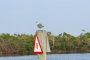 Fort Myers Beach Private Dolphin Watching Charter