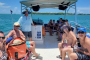 Fort Myers Beach Private Dolphin Watching Charter