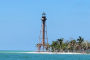 Fort Myers Beach Private Dolphin Watching Charter