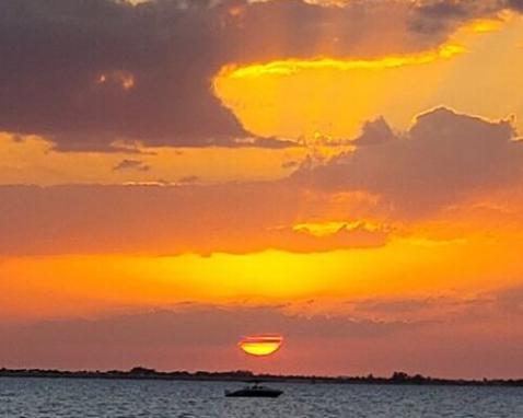 Fort Myers Beach Sunset Cruise and Wildlife-Watching