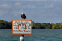 Fort Myers Beach Dolphin Watching Catamaran