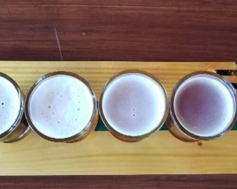 San Diego To Tijuana Craft Beer Tour