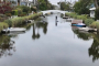 Venice Beach Walking Tour and Local Experience