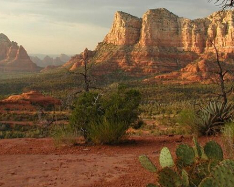 Sedona Red Rocks and Native Ruins Tour