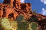 Sedona Red Rocks and Native Ruins Tour