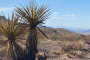 Boulder City Desert ATV Adventure Tour