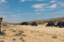 Mojave Desert Polaris RZR Guided Tour