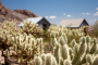 Nevada Wild West Ghost Town Adventure