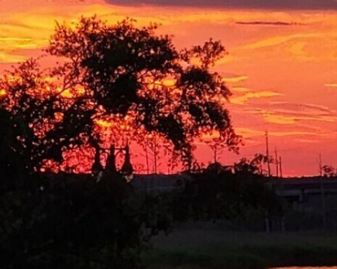 Wilmington Electric Bike Sunset Tour