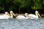 Canaveral National Seashore Sunrise Kayak Tour