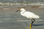 Canaveral National Seashore Sunrise Kayak Tour