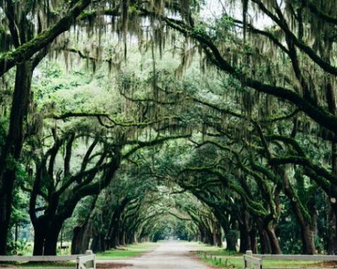 Savannah Film and Television Location Tour