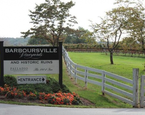 Barboursville Wine and Culinary Experience Tour